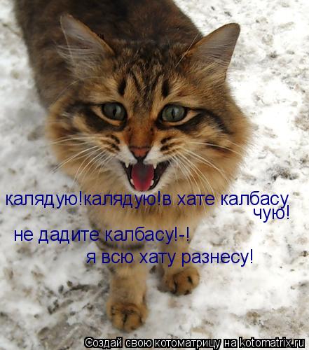 Котоматрица: калядую!калядую!в хате калбасу  чую! не дадите калбасу!-! я всю хату разнесу!