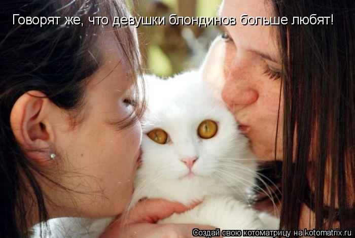 Котоматрица: Говорят же, что девушки блондинов больше любят!