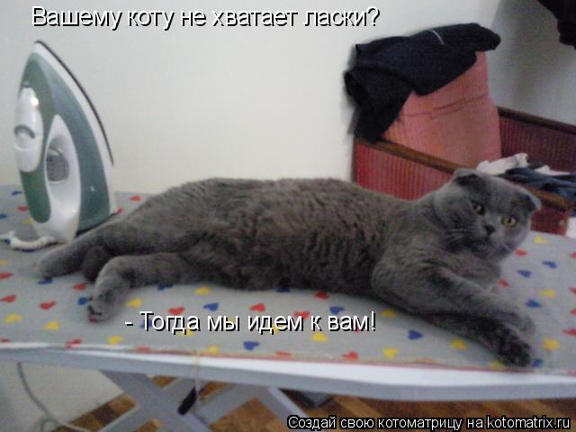 Котоматрица: Вашему коту не хватает ласки? - Тогда мы идем к вам!