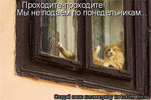 Проходите-проходите! Мы не подаём по понедельникам...... Котоматрица: Проходите-проходите! Мы не подаём по понедельникам...
