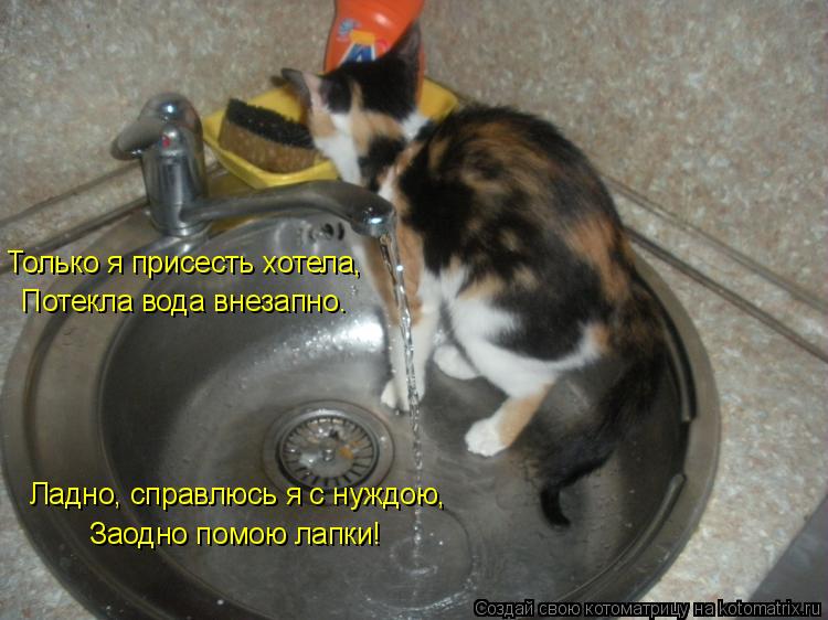 Котоматрица: Только я присесть хотела, Потекла вода внезапно. Ладно, справлюсь я с нуждою, Заодно помою лапки!