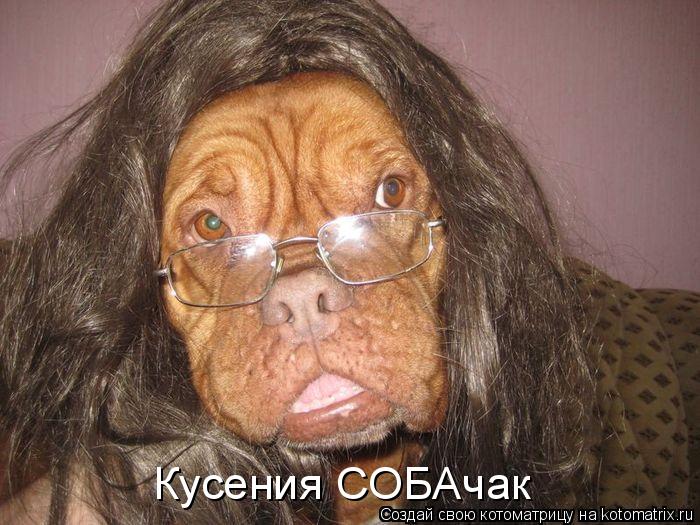 Котоматрица: Кусения СОБАчак