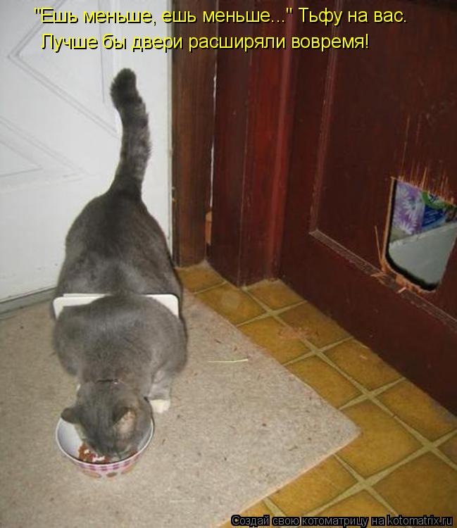 Котоматрица: "Ешь меньше, ешь меньше..." Тьфу на вас. Лучше бы двери расширяли вовремя!