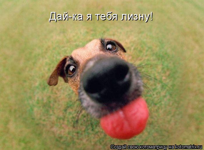 Котоматрица: Дай-ка я тебя лизну!