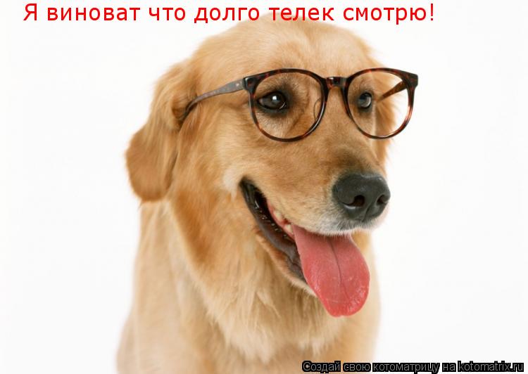 Котоматрица: Я виноват что долго телек смотрю!