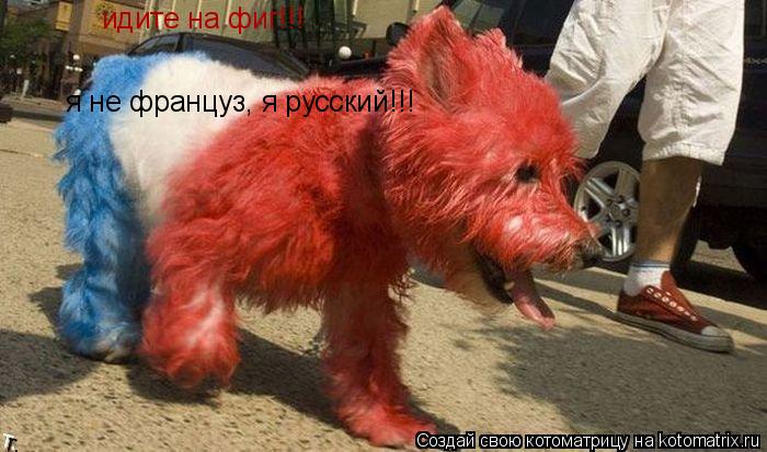 Котоматрица: идите на фиг!!!  я не француз, я русский!!!