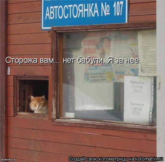 Котоматрица: Сторожа вам... нет бабули. Я за неё.
