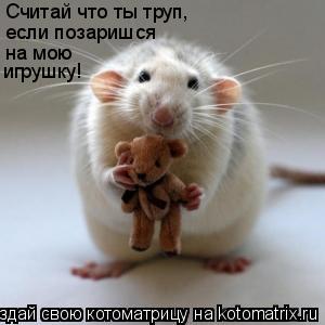 Котоматрица: Считай что ты труп если позаришся на мою игрушку! Считай что ты труп,  если позаришся  на мою  игрушку!