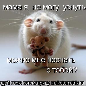 Котоматрица: мама я  не могу  уснуть  можно  мне поспать с  тобой? можно мне поспать  с тобой?