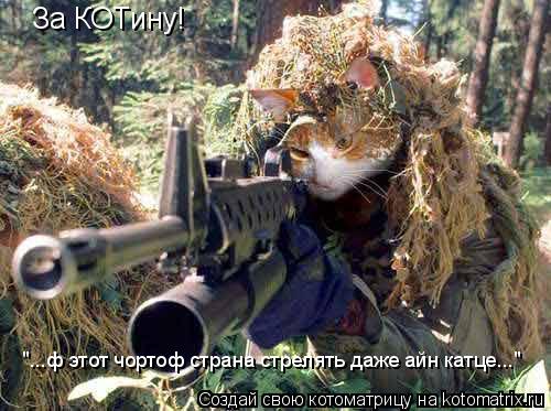 Котоматрица: За КОТину! "...ф этот чортоф страна стрелять даже айн катце..."