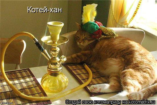 Котоматрица: Котей-хан