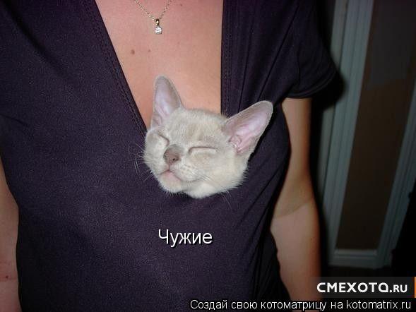 Котоматрица: Чужие