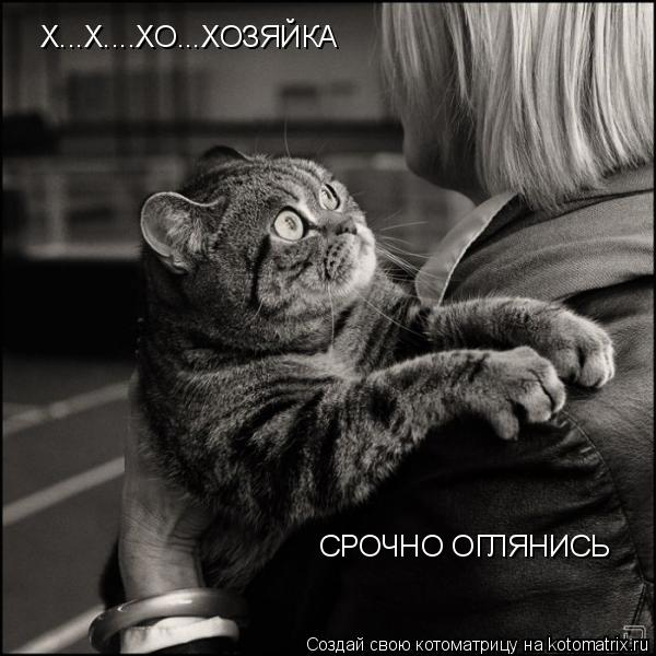 Котоматрица: Х...Х....ХО...ХОЗЯЙКА СРОЧНО ОГЛЯНИСЬ