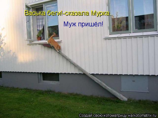 Котоматрица: Васька беги!-сказала Мурка. Муж пришёл!