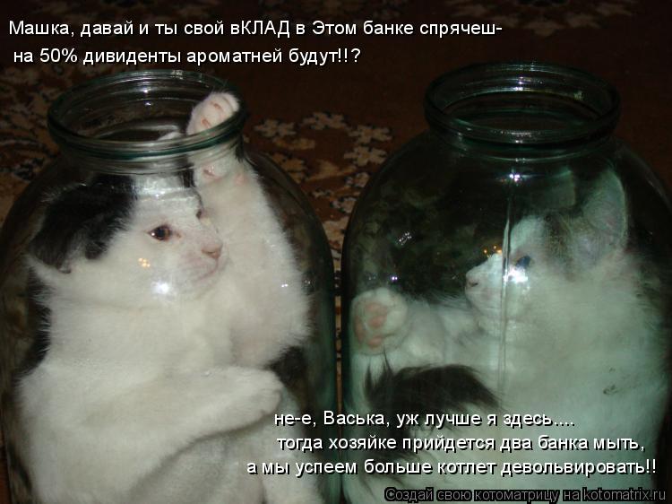 Котоматрица: на 50% дивиденты ароматней будут!!? Машка, давай и ты свой вКЛАД в Этом банке спрячеш-  тогда хозяйке прийдется два банка мыть,  не-е, Васька, уж 