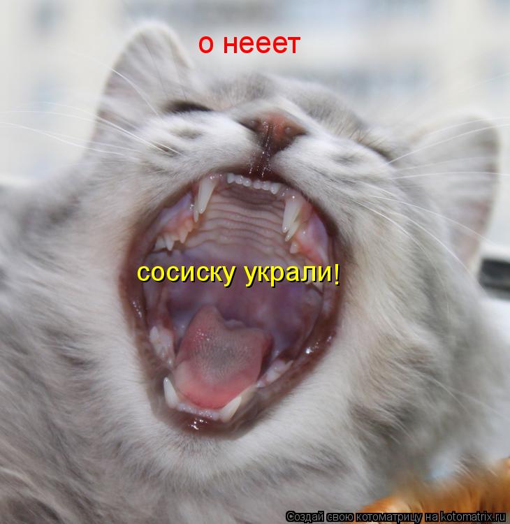 Котоматрица: о нееет  сосиску украли !
