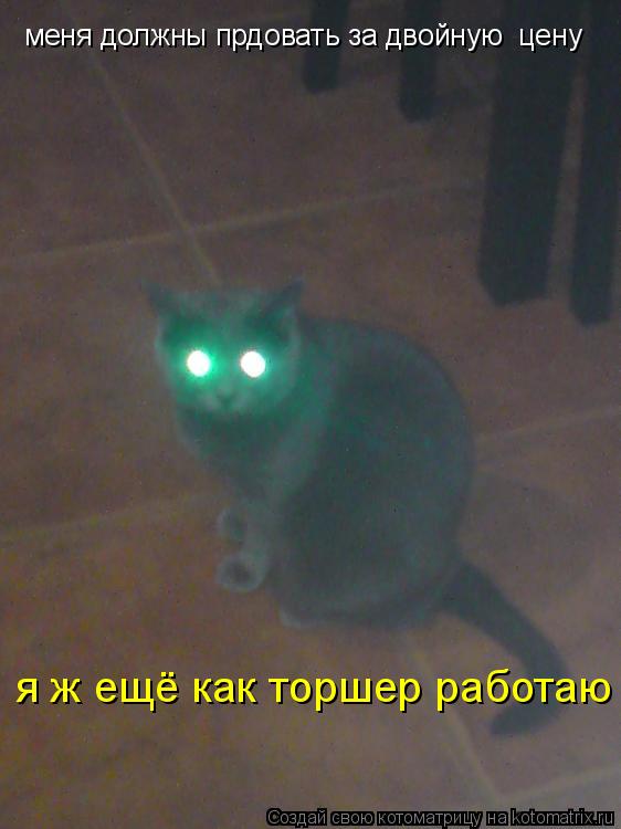 Котоматрица: меня должны прдовать за двойную  цену я ж ещё как торшер работаю