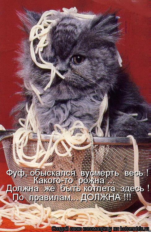 Какого-то рожна ... Фуф, обыскался вусмерть весь ! Должна же быть котлета здесь ! По правилам.... Котоматрица: Какого-то рожна ... Фуф, обыскался вусмерть весь ! Должна же быть котлета здесь ! По правилам... ДОЛЖНА !!!