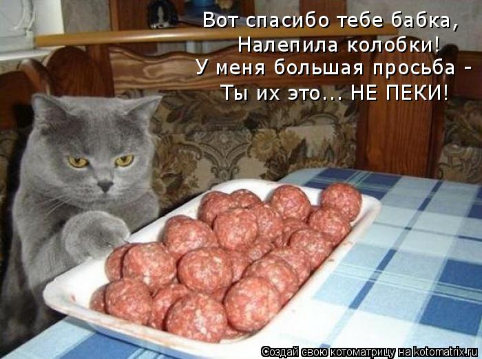 Вот спасибо тебе бабка, Налепила колобки! У меня большая просьба - Ты их это... НЕ ПЕКИ!... Котоматрица: Вот спасибо тебе бабка, Налепила колобки! У меня большая просьба - Ты их это... НЕ ПЕКИ!