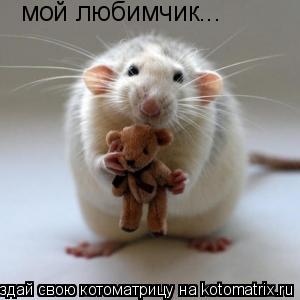 Котоматрица: мой любимчик...