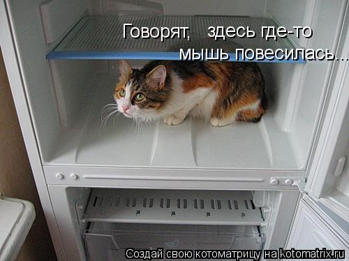 Котоматрица: Говорят,  здесь где-то мышь повесилась...