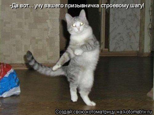 Котоматрица: -Да вот... учу вашего призывничка строевому шагу!