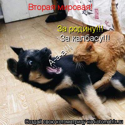Котоматрица: Вторая мировая! За родину!!! За калбасу!!! А-а-а!!!
