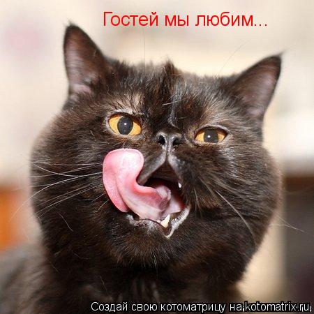 Котоматрица: Гостей мы любим...