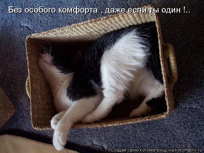Котоматрица: Без особого комфорта , даже если ты один !..