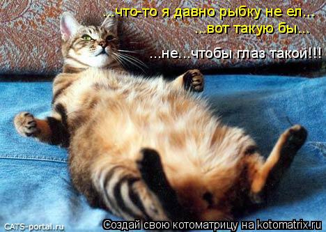 Котоматрица: ...что-то я давно рыбку не ел... ...вот такую бы... ...не...чтобы глаз такой!!!