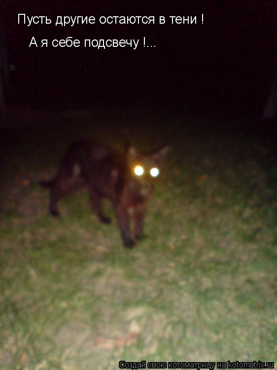 Котоматрица: Пусть другие остаются в тени ! А я себе подсвечу !...