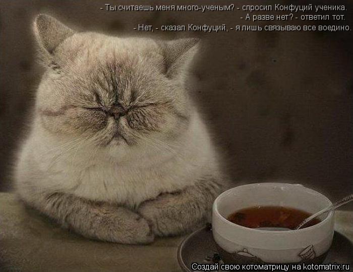 Котоматрица: - Ты считаешь меня много-ученым? - спросил Конфуций ученика. - А разве нет? - ответил тот. - Нет, - сказал Конфуций, - я лишь связываю все воедино.