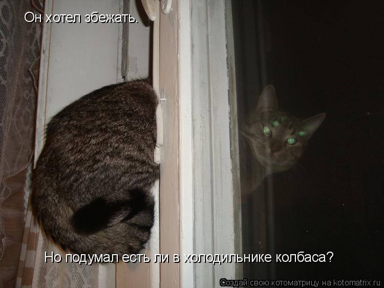 Котоматрица: Он хотел збежать. Но подумал есть ли в холодильнике колбаса?