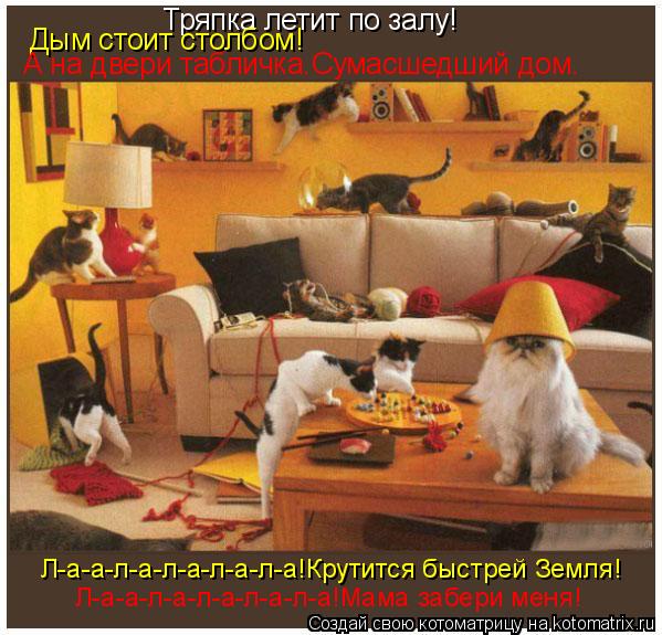 Котоматрица: Тряпка летит по залу! Дым стоит столбом! А на двери табличка.Сумасшедший дом. Л-а-а-л-а-л-а-л-а-л-а!Крутится быстрей Земля! Л-а-а-л-а-л-а-л-а-л-а!Ма