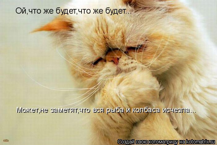 Котоматрица: Ой,что же будет,что же будет... Может,не заметят,что вся рыба и колбаса исчезла...