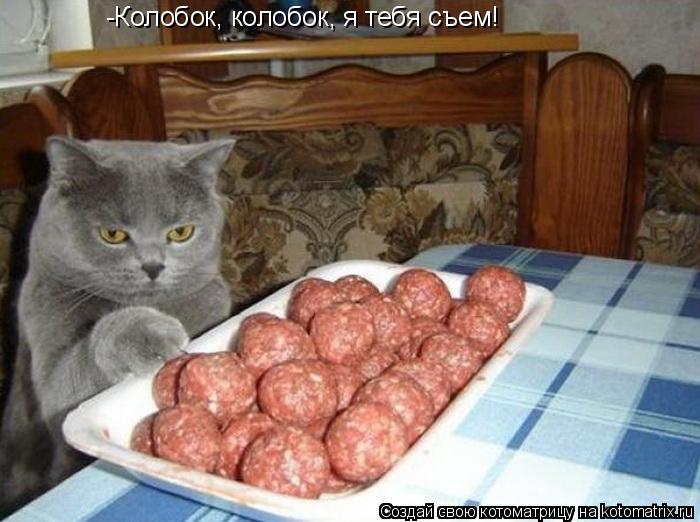 Котоматрица: -Колобок, колобок, я тебя съем!