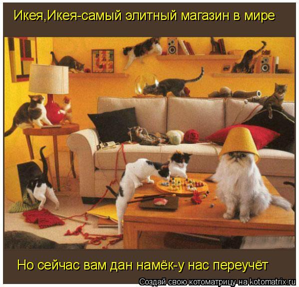 Котоматрица: Икея,Икея-самый элитный магазин в мире Но сейчас вам дан намёк-у нас переучёт