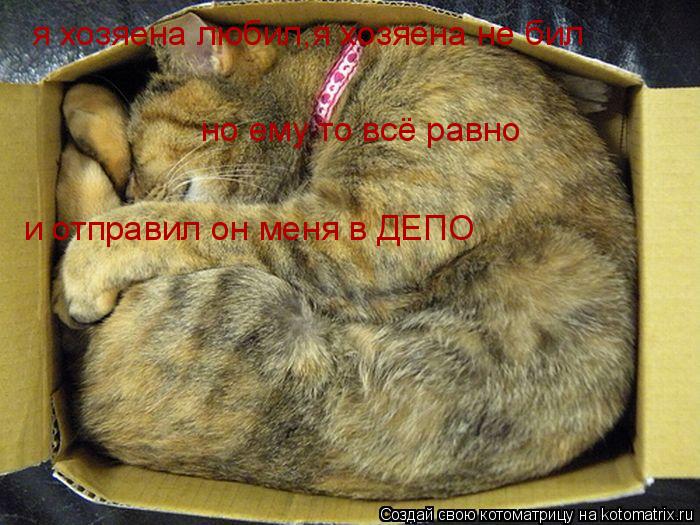 Котоматрица: я хозяена любил,я хозяена не бил но ему то всё равно  и отправил он меня в ДЕПО