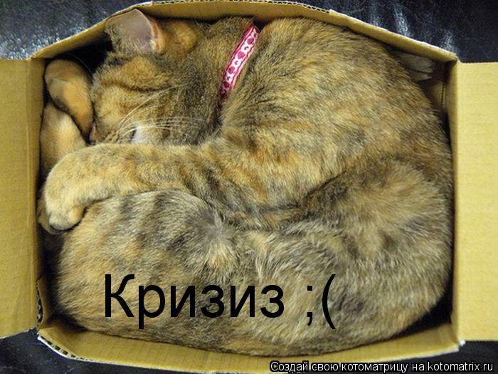 Котоматрица: Кризиз ;(