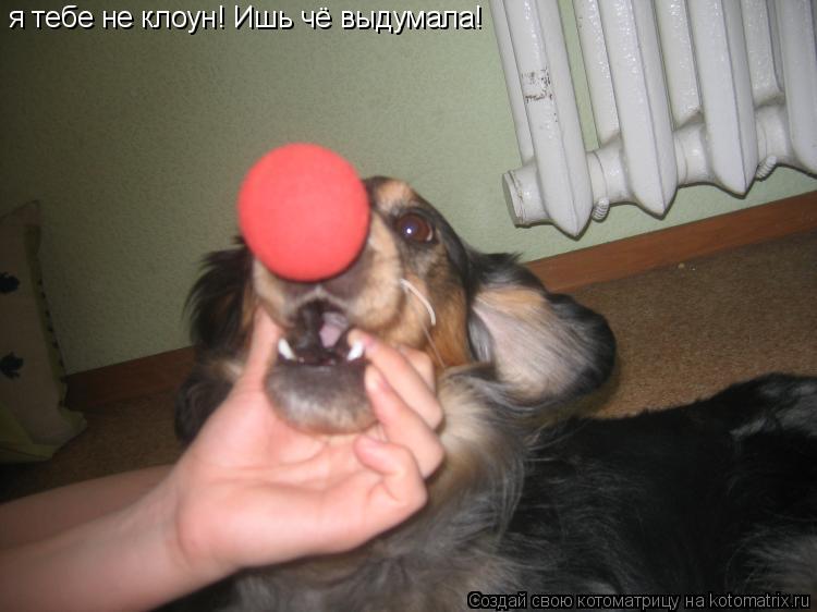 Котоматрица: я тебе не клоун! Ишь чё выдумала!