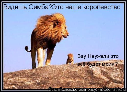 Котоматрица: Видишь,Симба?Это наше королевство Вау!Неужели это  всё будет моим?