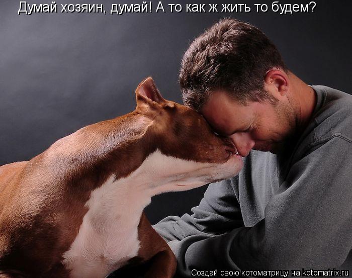 Думай хозяин, думай! А то как ж жить то будем?... Котоматрица: Думай хозяин, думай! А то как ж жить то будем?