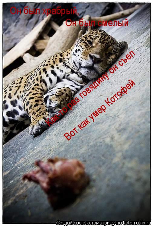 Он был храбрый, Он был смелый Как-то раз говядину он съел Вот как умер Котофей... Котоматрица: Он был храбрый, Он был смелый Как-то раз говядину он съел Вот как умер Котофей