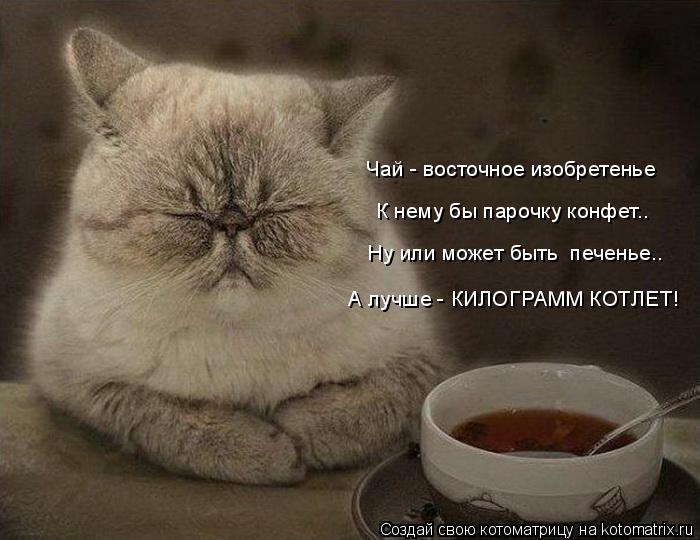 Чай - восточное изобретенье К нему бы парочку конфет.. Ну или может быть печенье.. А лучше - КИЛОГРА... Котоматрица: Чай - восточное изобретенье К нему бы парочку конфет.. Ну или может быть печенье.. А лучше - КИЛОГРАММ КОТЛЕТ!