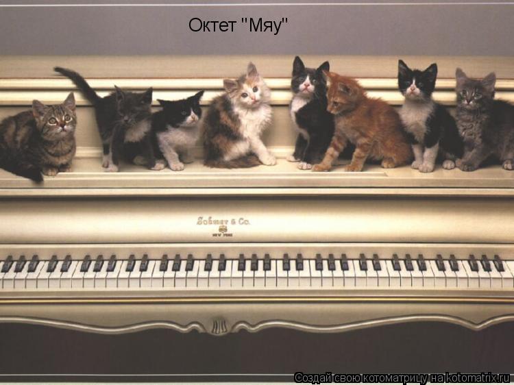 Октет "Мяу"... Котоматрица: Октет "Мяу"