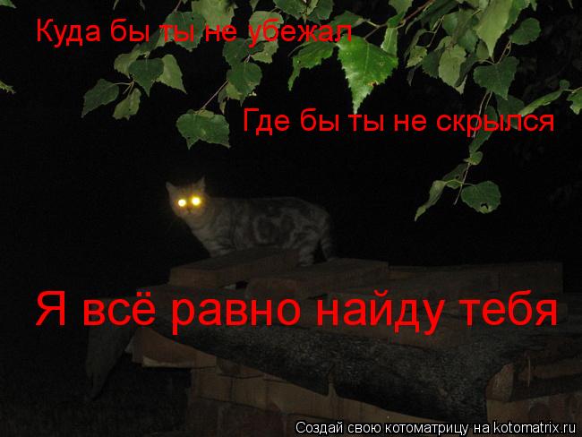 Куда бы ты не убежал Где бы ты не скрылся Я всё равно найду тебя... Котоматрица: Куда бы ты не убежал Где бы ты не скрылся Я всё равно найду тебя