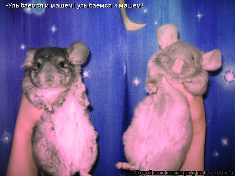 -Улыбаемся и машем! улыбаемся и машем!... Котоматрица: -Улыбаемся и машем! улыбаемся и машем!