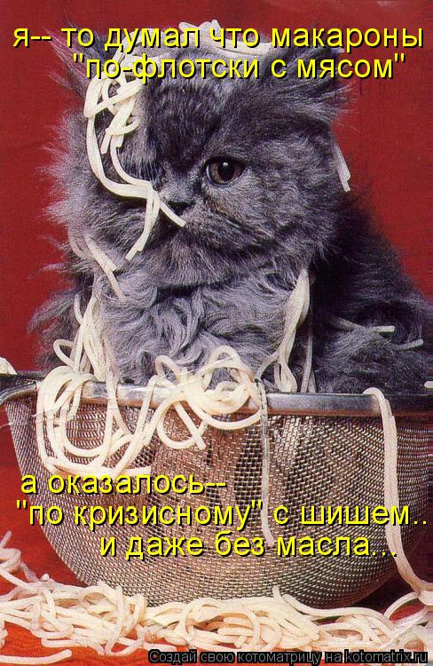 я-- то думал что макароны "по-флотски с мясом" а оказалось-- "по кризисному" с шишем... и даже без м... Котоматрица: я-- то думал что макароны "по-флотски с мясом" а оказалось-- "по кризисному" с шишем... и даже без масла...