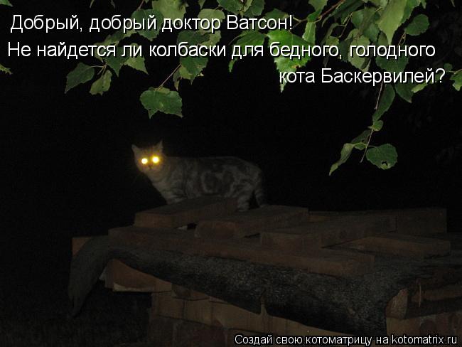 Добрый, добрый доктор Ватсон! Не найдется ли колбаски для бедного, голодного Не найдется ли колбаски ... Котоматрица: Добрый, добрый доктор Ватсон! Не найдется ли колбаски для бедного, голодного Не найдется ли колбаски для бедного, голодного кота Баскервиле