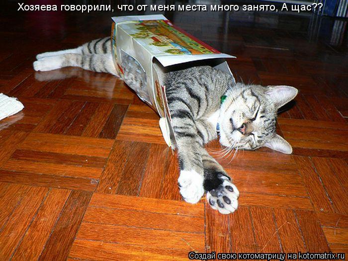 Хозяева говоррили, что от меня места много занято, А щас??... Котоматрица: Хозяева говоррили, что от меня места много занято, А щас??